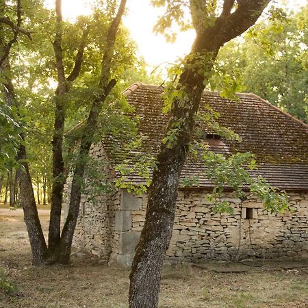 فندق Le Bois De Faral Le Bastit المظهر الخارجي الصورة